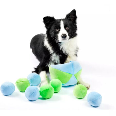 Hide-a-Ball Dog Toy