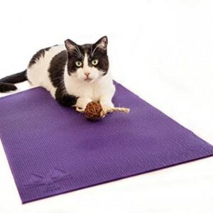 The Original Yoga Cat Mat Scratch Lounge Mat with Toy