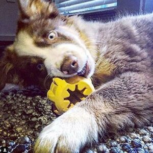 Industrial Dog Gear – Dog Treat Dispenser and Chew Toy