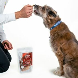 Wild Boar Jerky Treats for Dogs