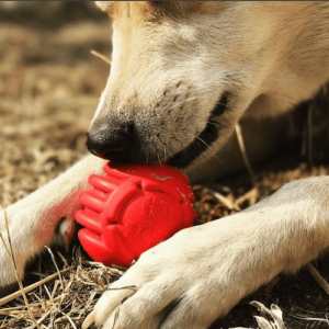 USA-K9 Stars & Stripes – Dog Ball and Chew Toy